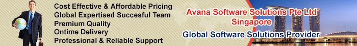 Singapore Custom Software Development Service Provider